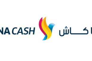Logo Lana Cash